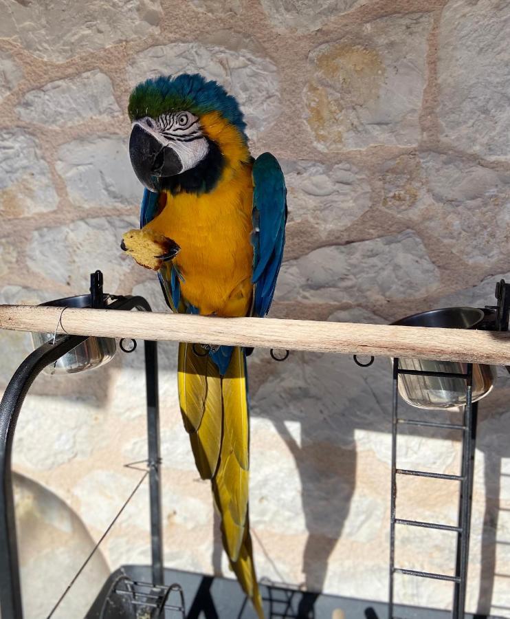 Jimmy'S Apartment Lefkada, Katochori Katokhórion المظهر الخارجي الصورة